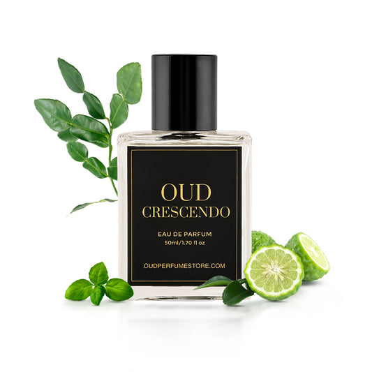 Oud Crescendo | Spicy & Woody | Cardamom, Sandalwood, Tonka Bean